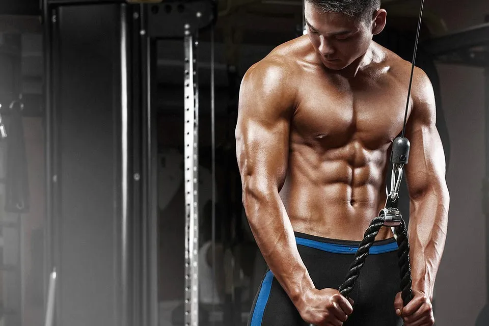 Steroid cycle for fat loss and muscle gain